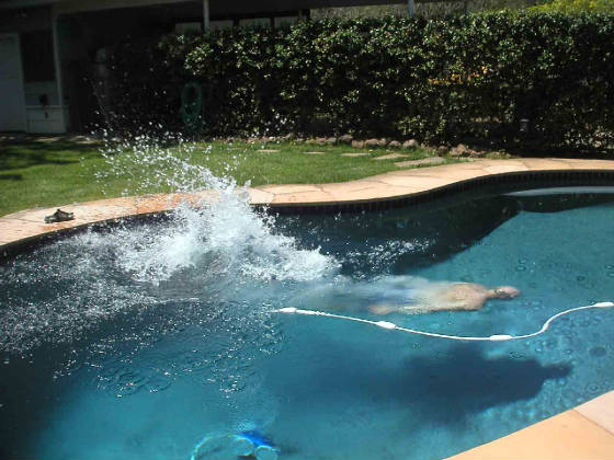 First_in_the_Pool_4-30-06_05.jpg