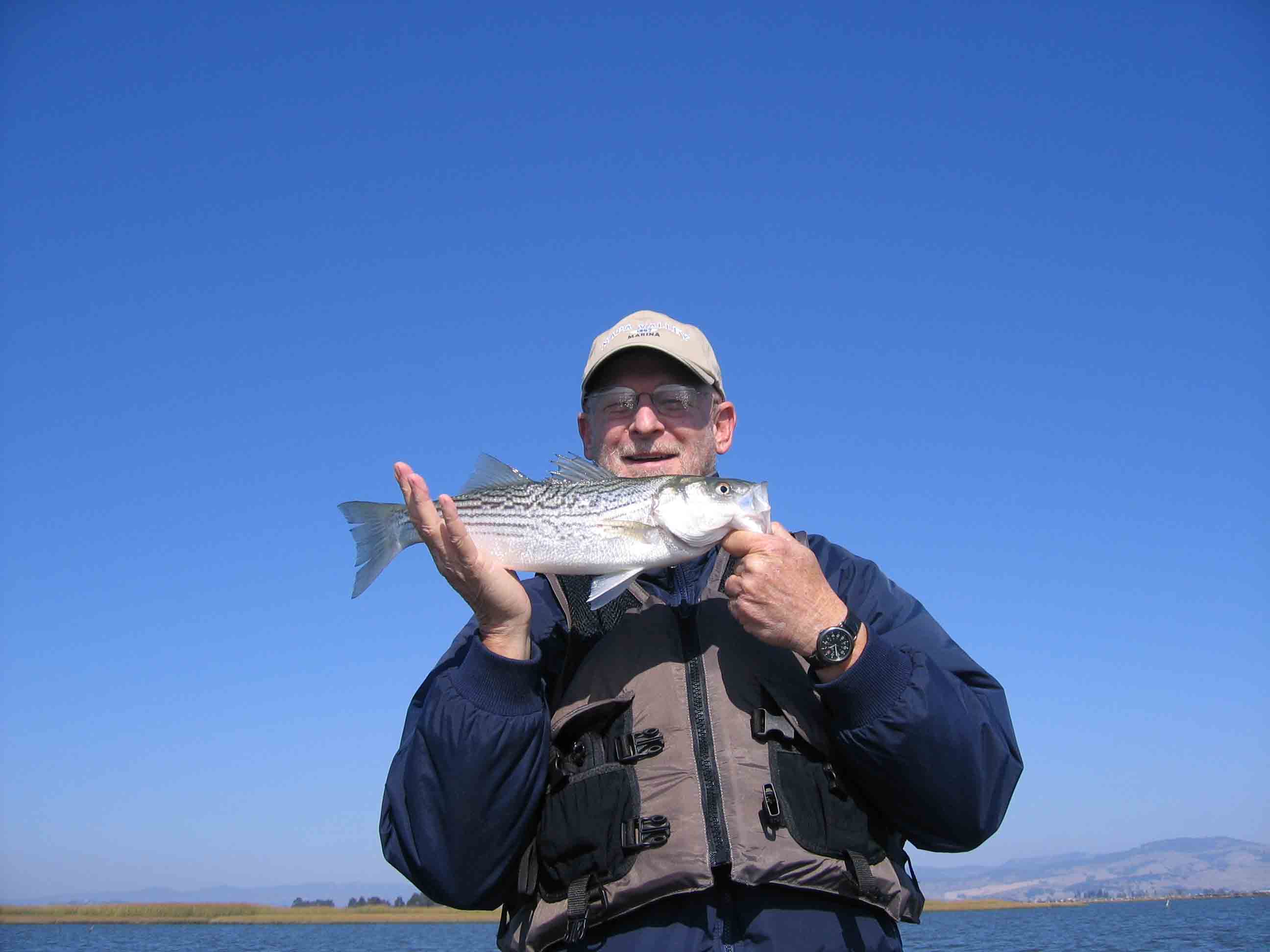 MarkFish3.jpg